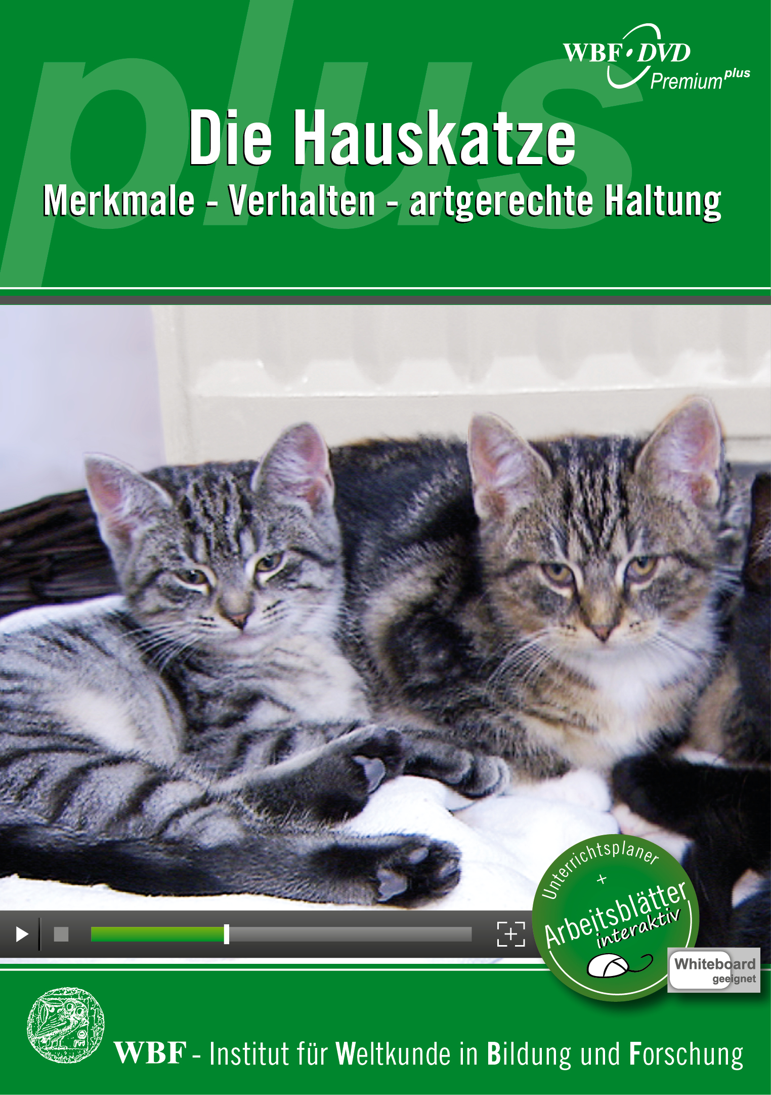 Die Hauskatze | WBF - Innovative Medien Für Den Unterricht