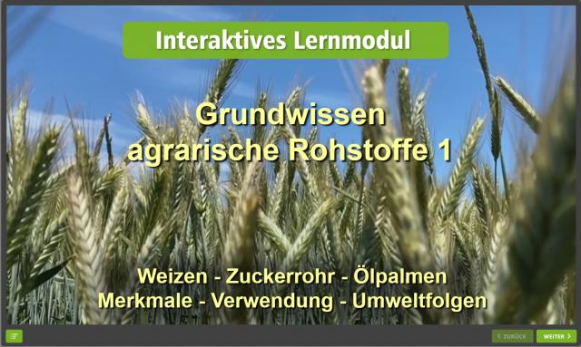 Vorschaubild Lernmodul